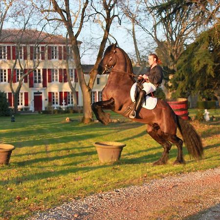Le Relais Du Silence Chateau Lavail Labastide-dʼAnjou Esterno foto