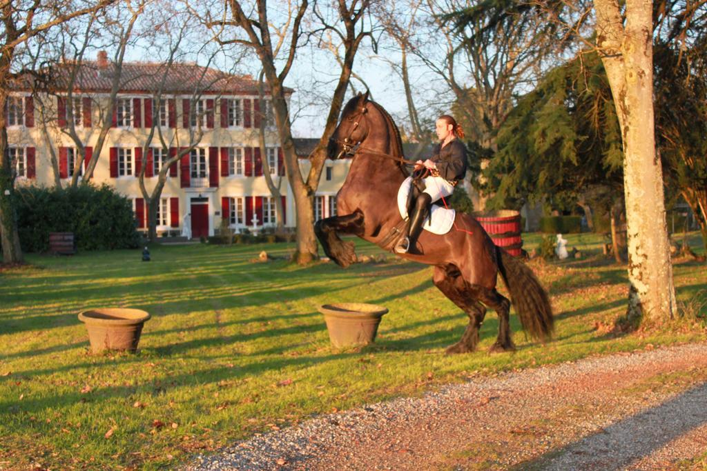 Le Relais Du Silence Chateau Lavail Labastide-dʼAnjou Esterno foto